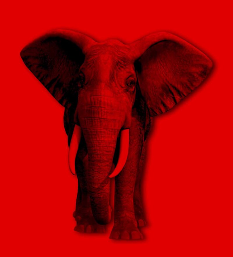 ELEFANTE HOME MEG DESOLE